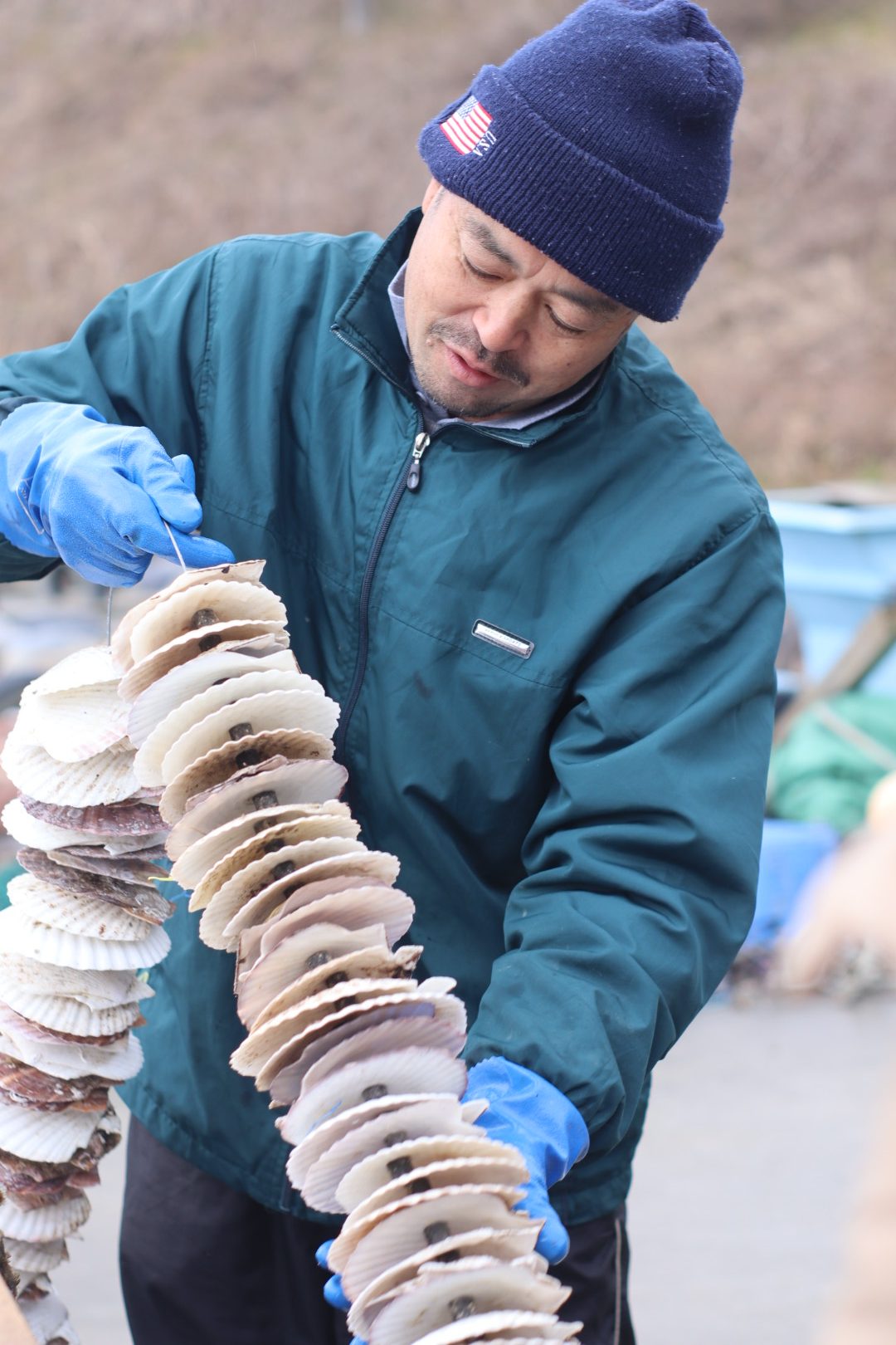 日本東北南三陸05