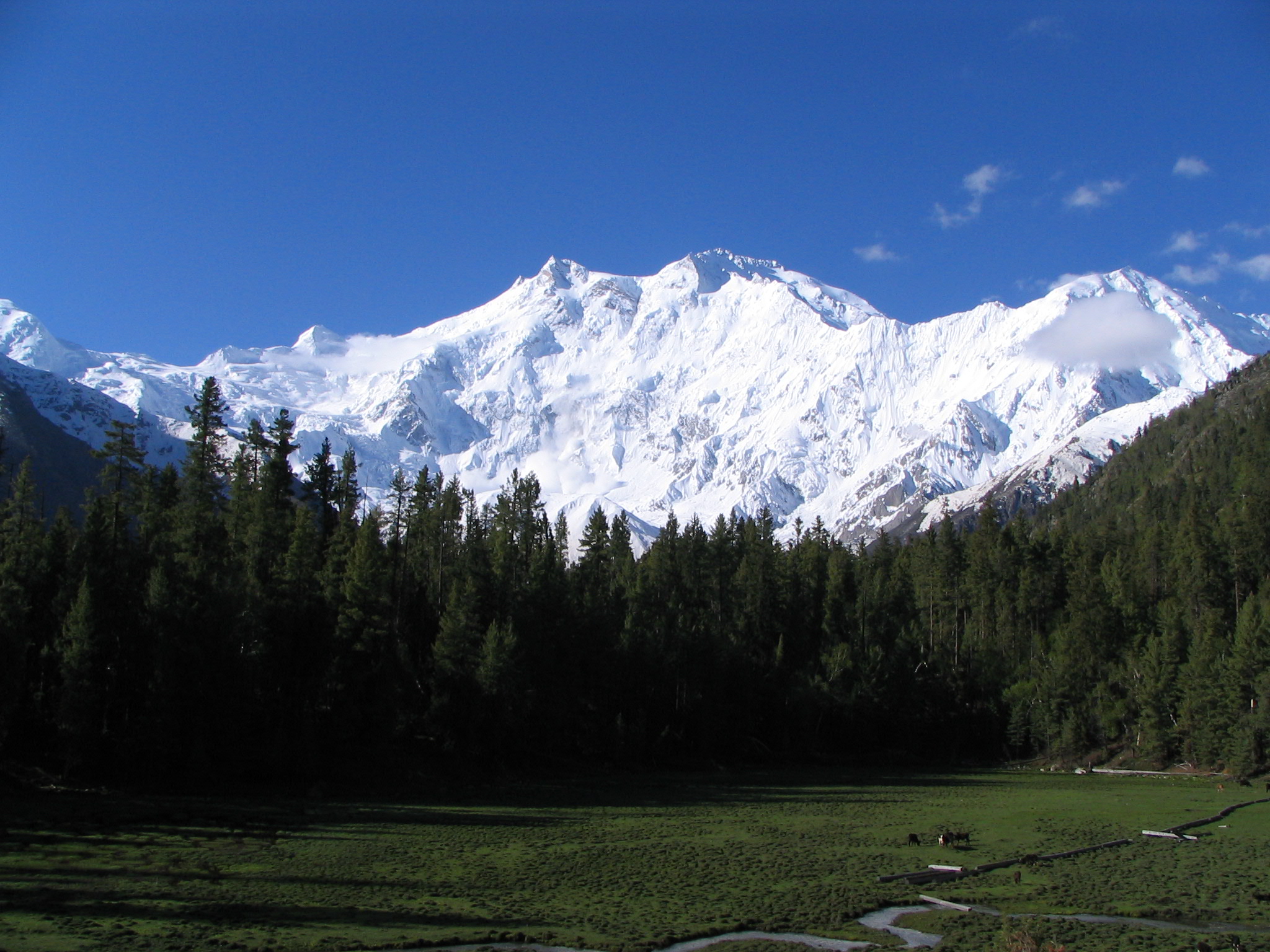 Nanga_parbat